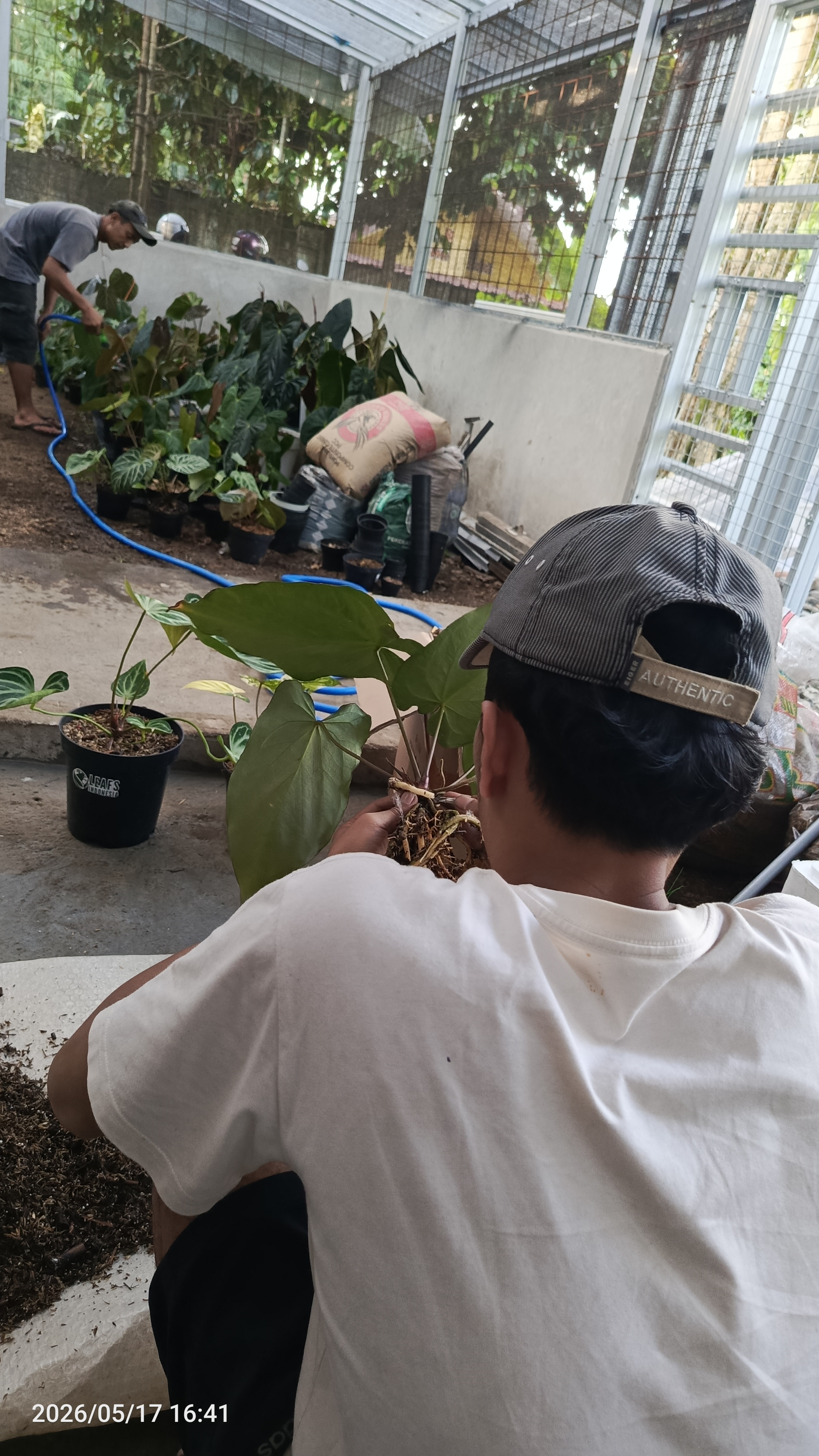 Galeri nursery 1